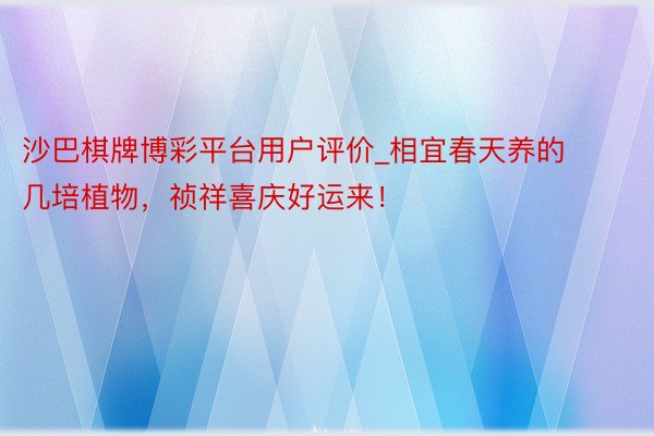 沙巴棋牌博彩平台用户评价_相宜春天养的几培植物，祯祥喜庆好运来！