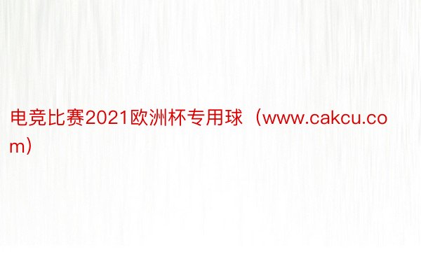 电竞比赛2021欧洲杯专用球（www.cakcu.com）